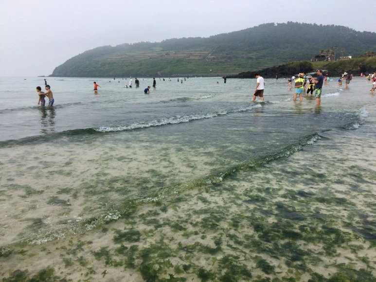 IMG_7296.JPG?type=w773