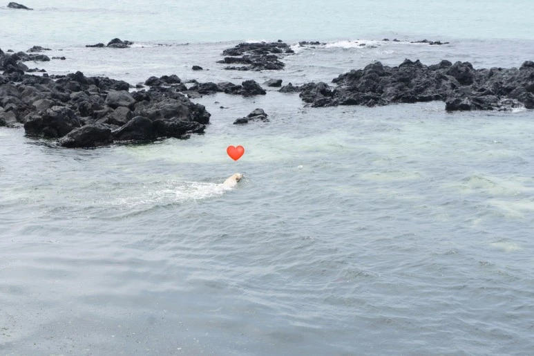 image_6855917521492809740129.jpg?type=w773