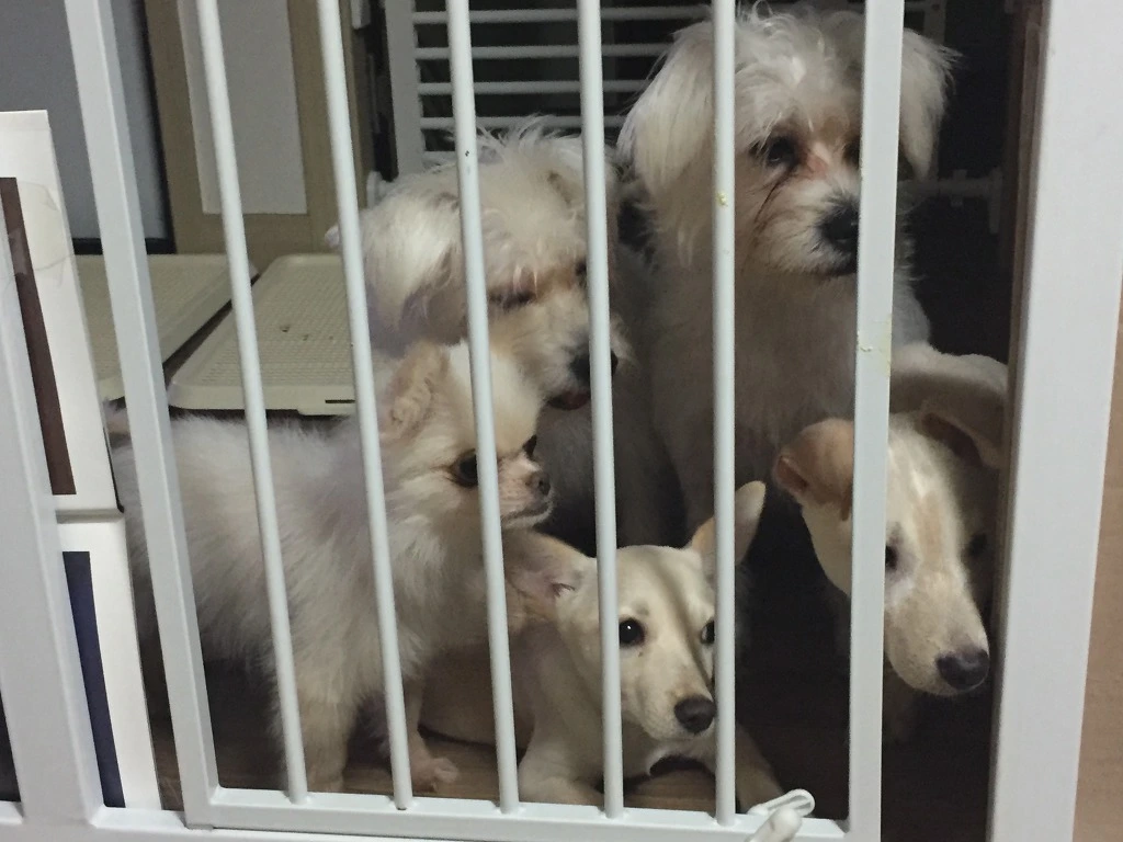 991274415BA6E406200BFD