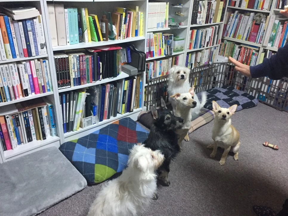 P20190113_204751692_7EE1E4E5-A056-4F14-B17F-47AE1D21EC7C.JPG?type=w966