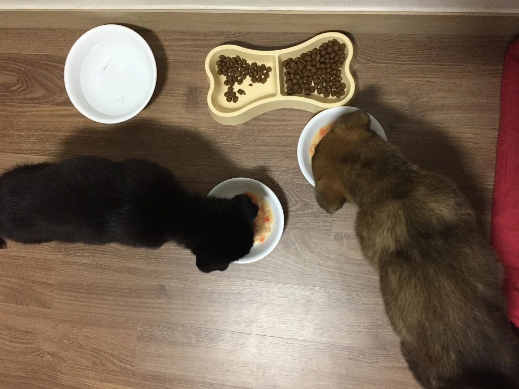 9934B53D5BA76E831CB7E1