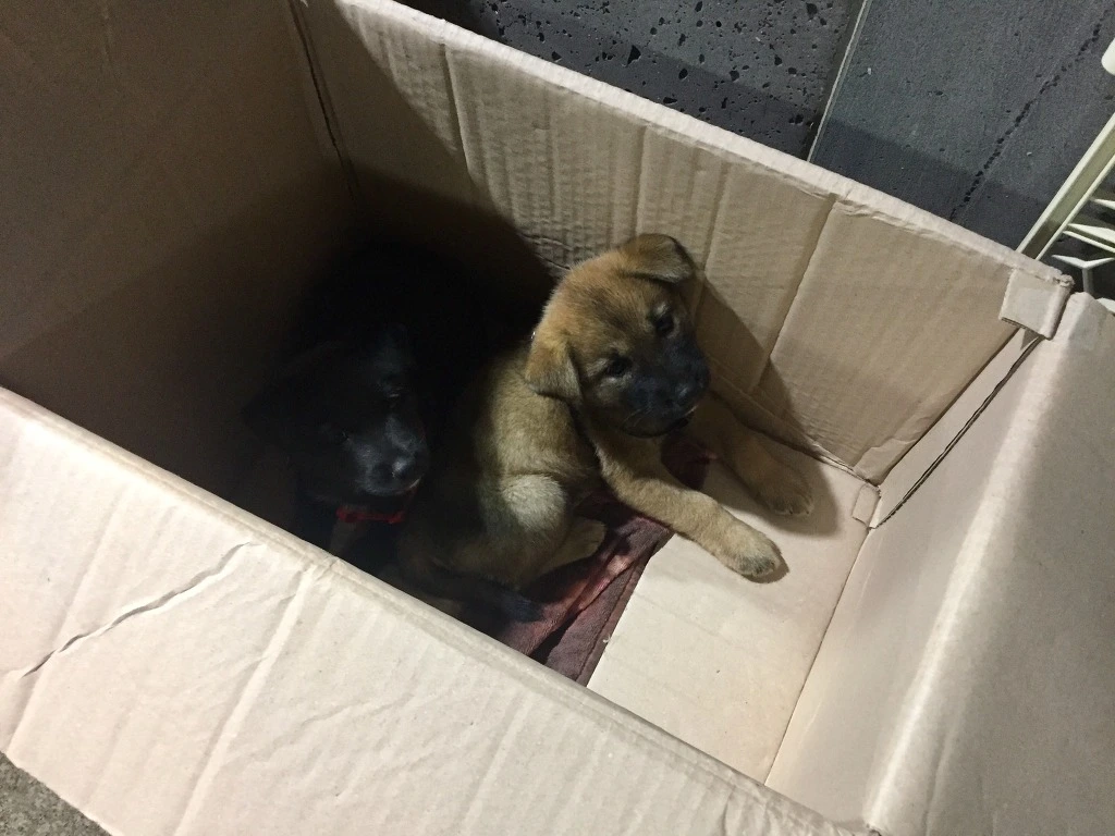 99104D4A5BC18A6415F807