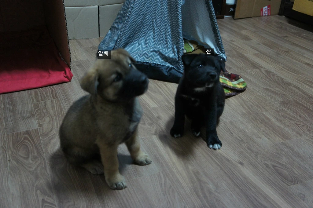 9991E5435BA76F400553D1