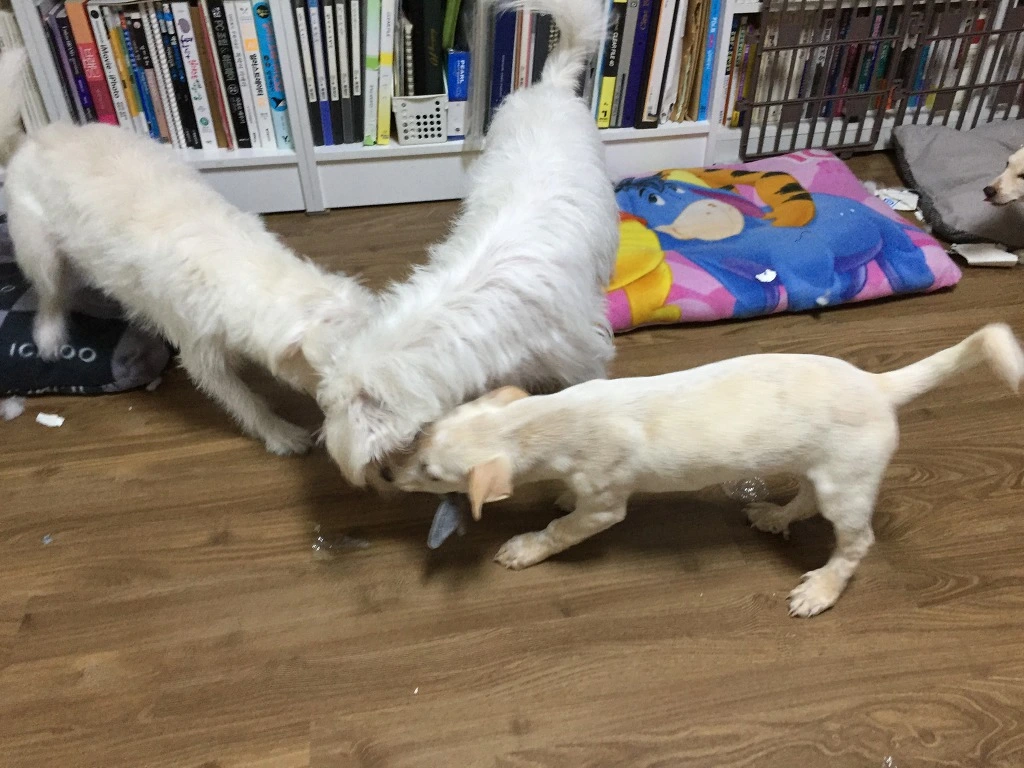 9975133C5B98DD8A2C7D3B