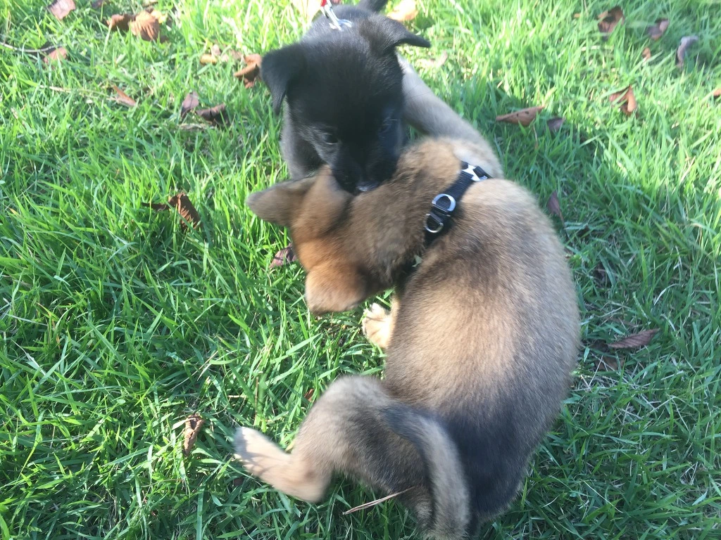 99AADA4A5BC18A751C54BB