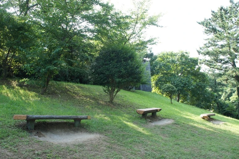 DSC06757.JPG?type=w773