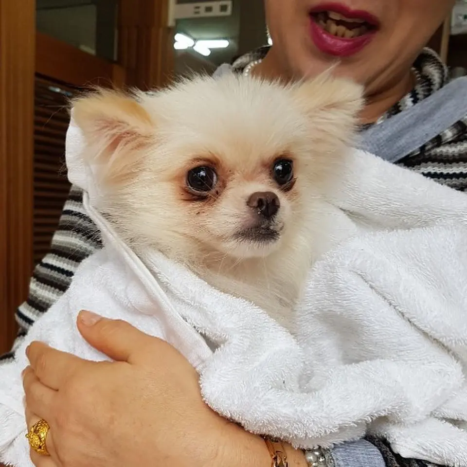 43828940_1843991432382104_5431125590495199232_n.jpg?type=w966