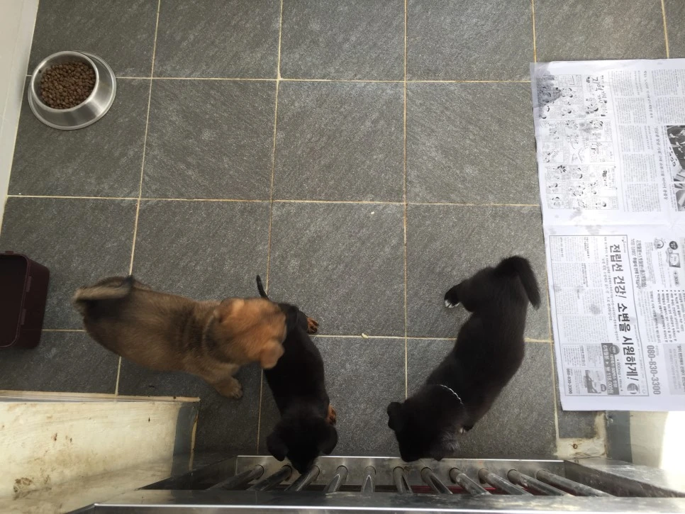 P20180927_161207037_8513B7B0-7D52-43D5-B565-23B2317E234E.JPG?type=w966