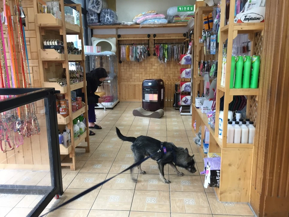 P20181210_161142706_9F212DE8-1FA0-4D8D-A02F-D1583668E98D.JPG?type=w966