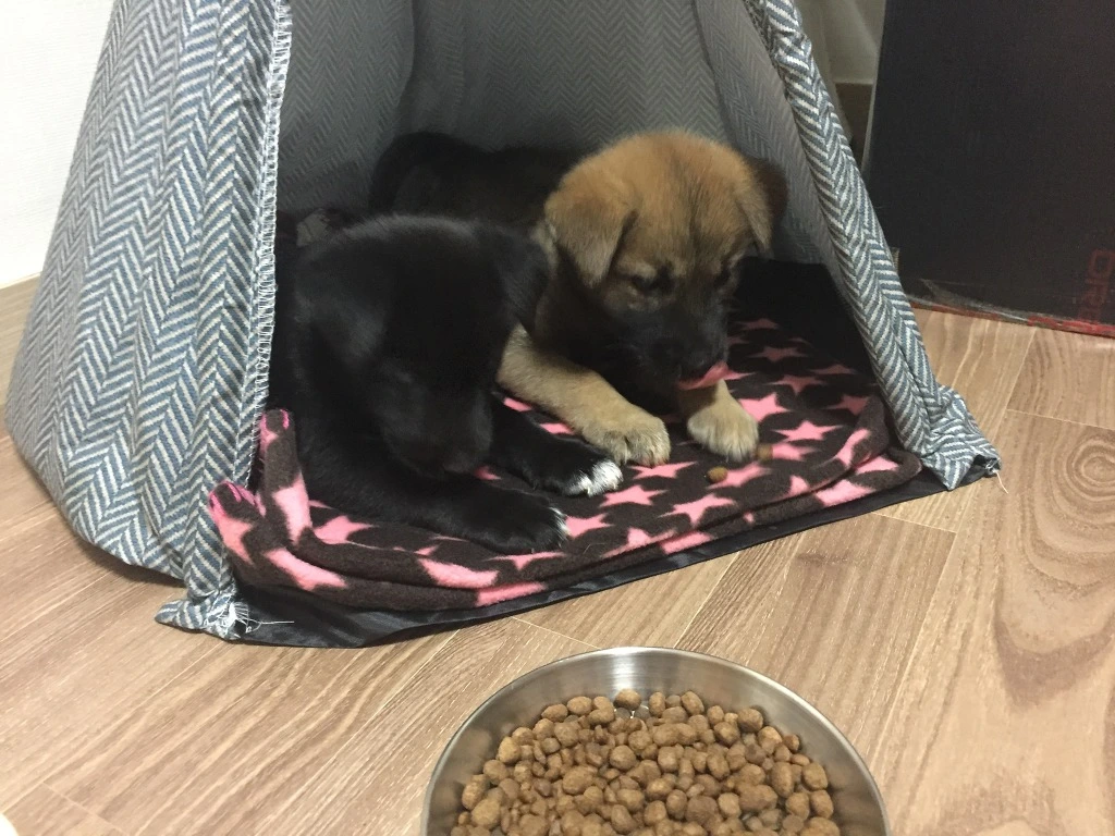 99FE2C375BA6E4282CCC72