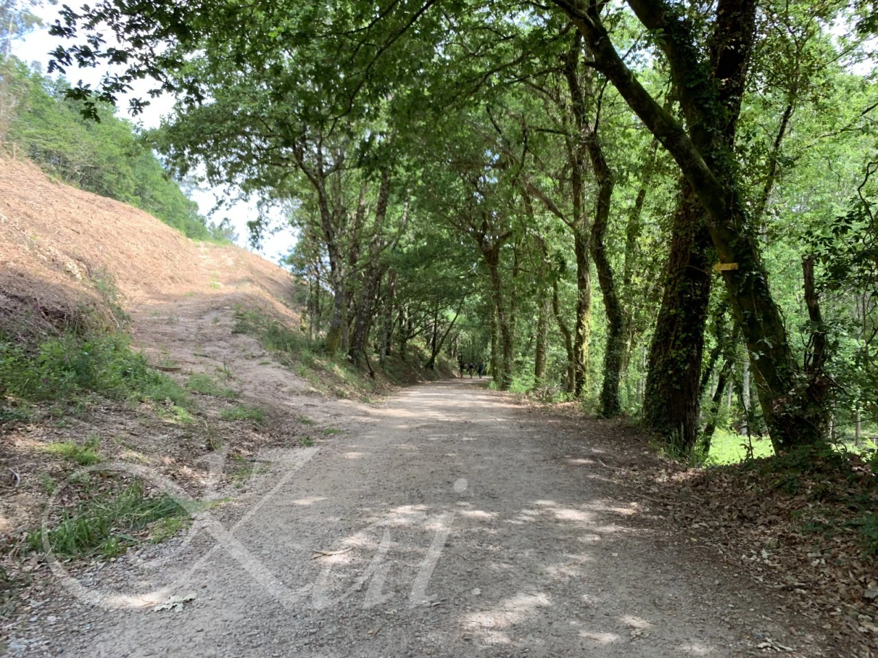 2_cgfUd018svcv1u2ajxvit3k_wocx9r.png?type=e1920_std