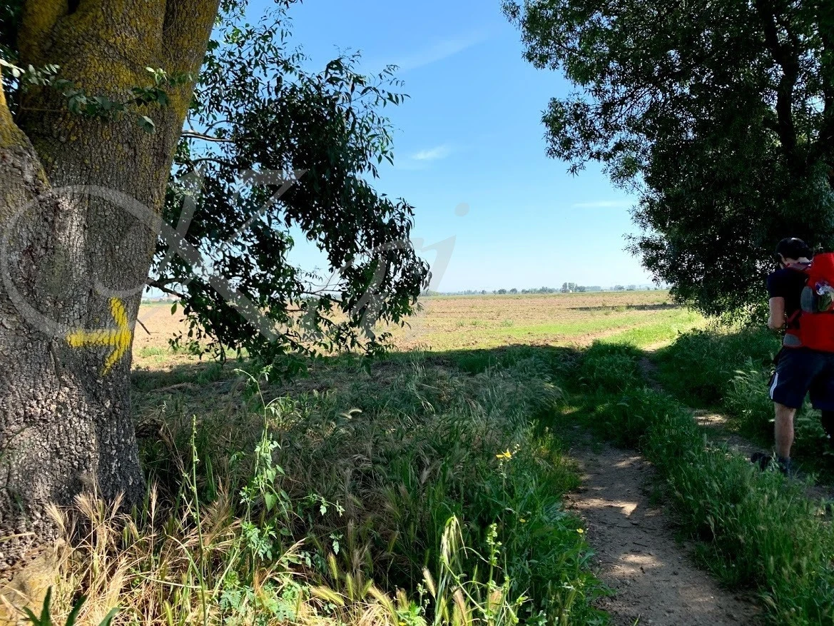 j_1bjUd018svc1nq1xhr2mjzqy_wocx9r.jpg?type=e1920_std