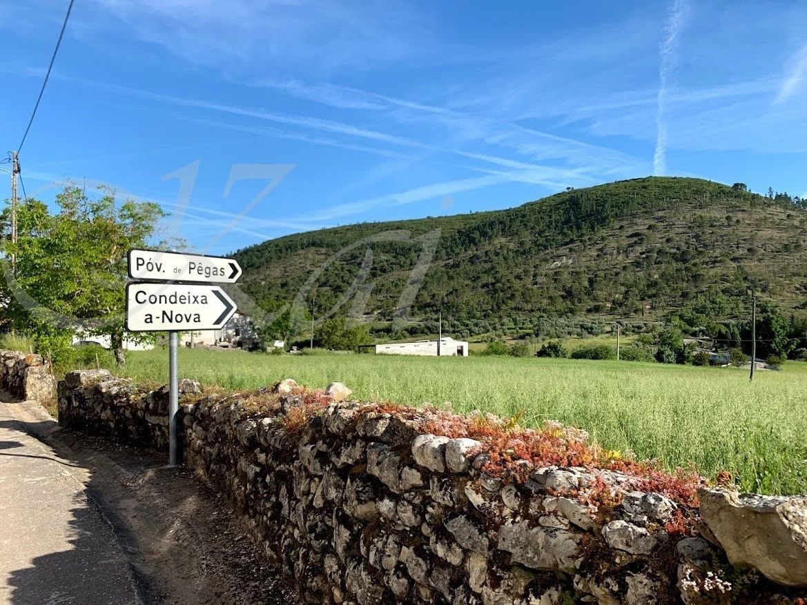 2_14jUd018svc1m20xmnbi3f6l_wocx9r.jpg?type=e1920_std