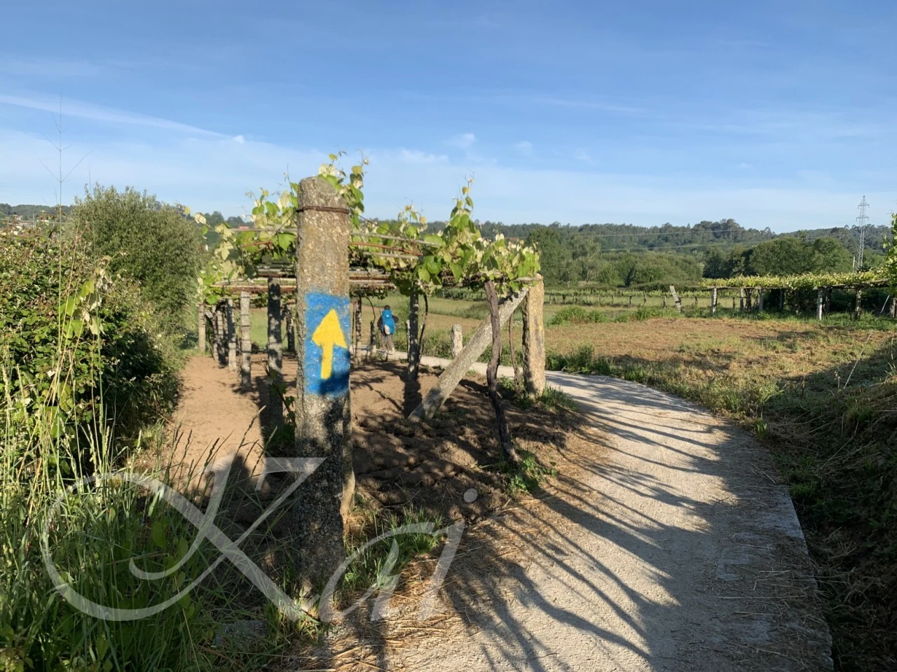 6_dgeUd018svc12yoaly5h1zvp_wocx9r.png?type=e1920_std