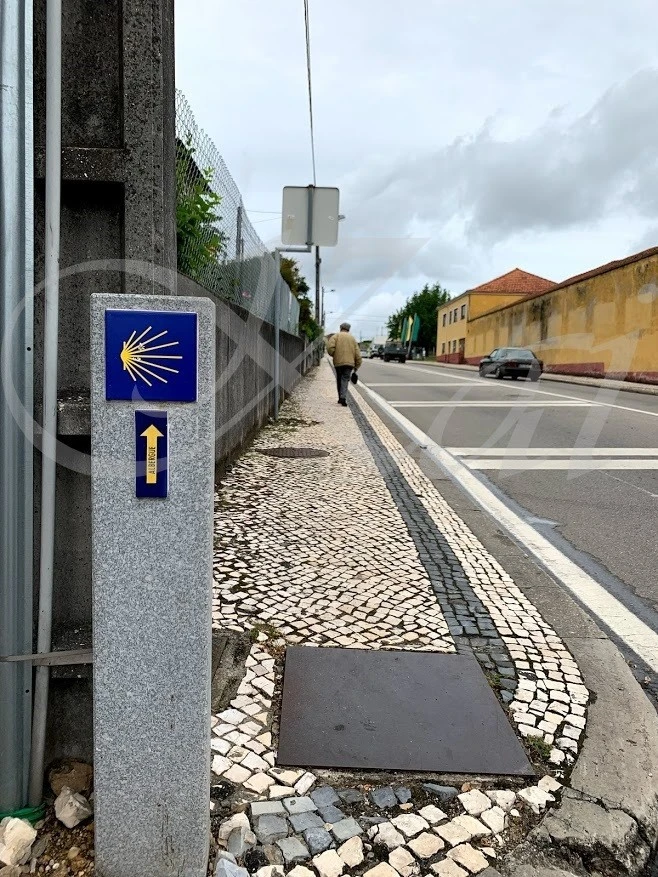 0_3fjUd018svcq07lfqe4r99w_wocx9r.jpg?type=e1920_std