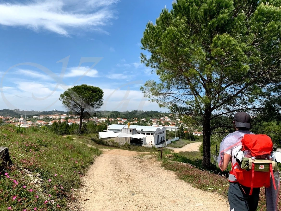 4_f4jUd018svc1bpj22mmpbbf7_wocx9r.jpg?type=e1920_std