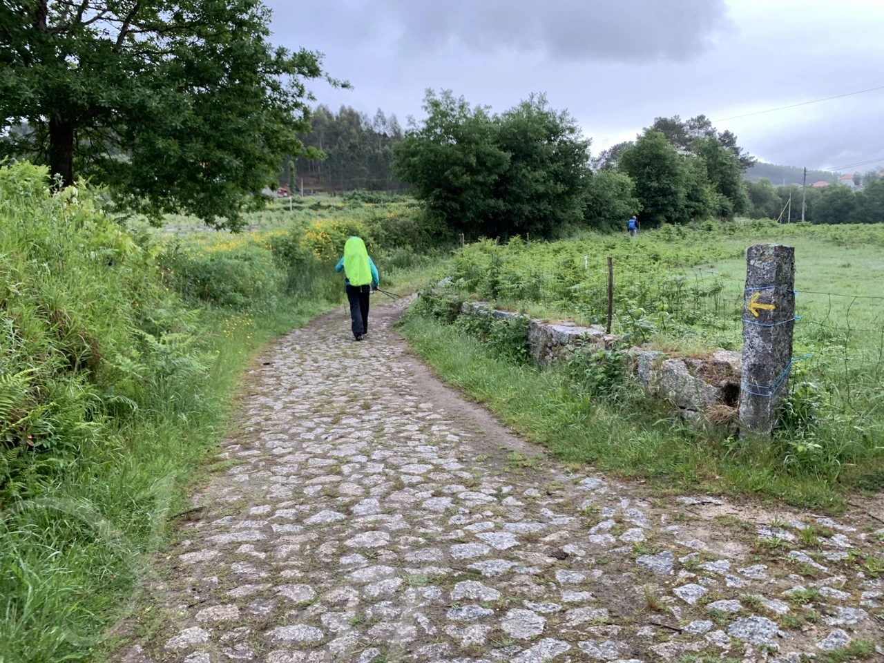 1_0ecUd018svc1wv74aitjg9z0_wocx9r.png?type=e1920_std