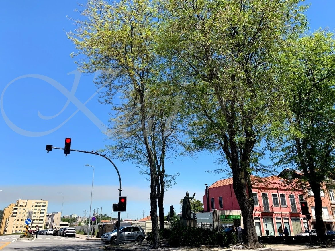 f_80eUd018svcpgmmpq8mbvh1_wocx9r.jpg?type=e1920_std