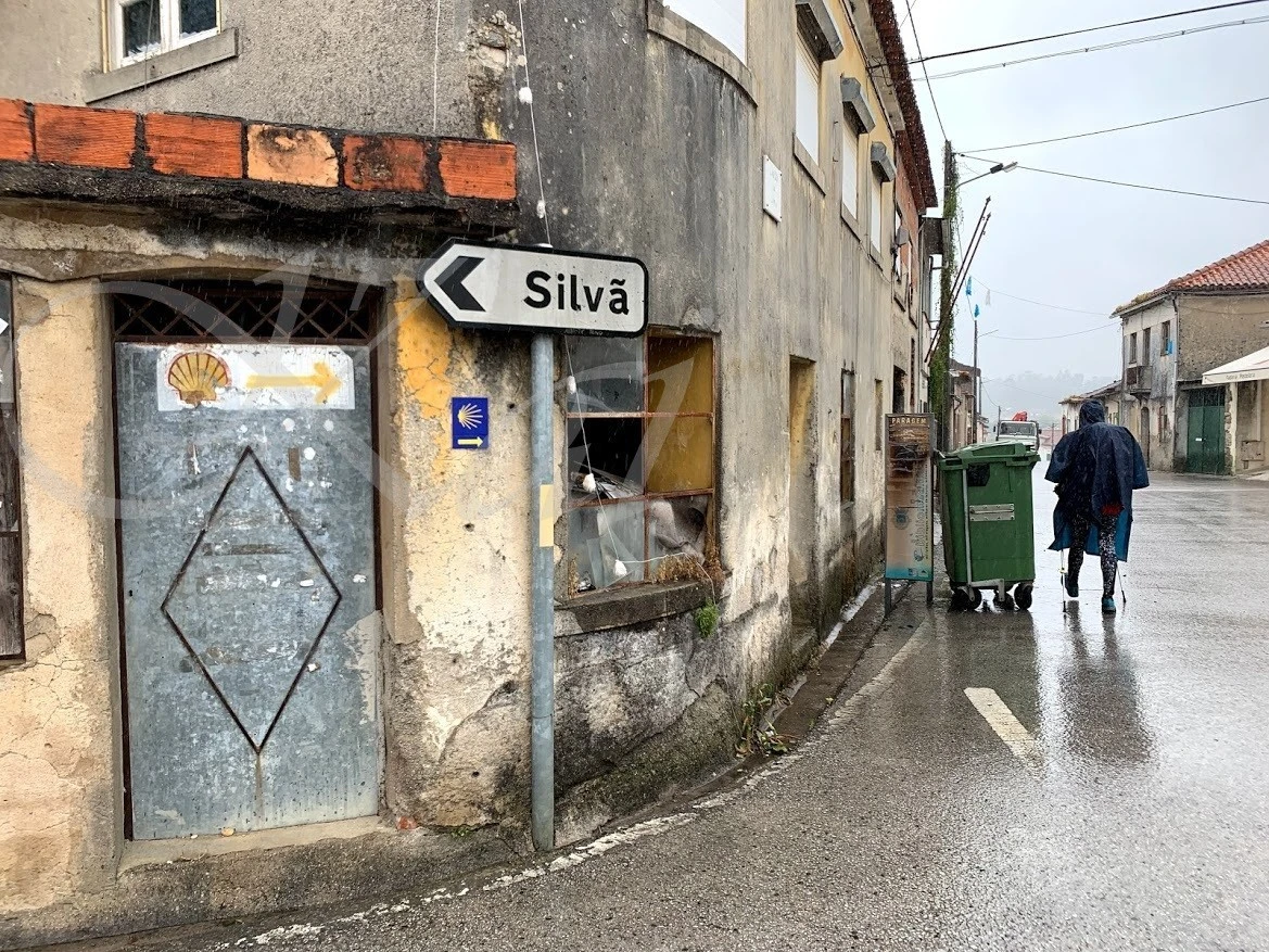 2_68dUd018svcjb6psdu2eoh2_wocx9r.jpg?type=e1920_std