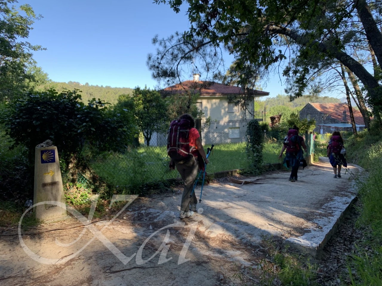 4_1d3Ud018svc1we2su7krjmi4_wocx9r.png?type=e1920_std