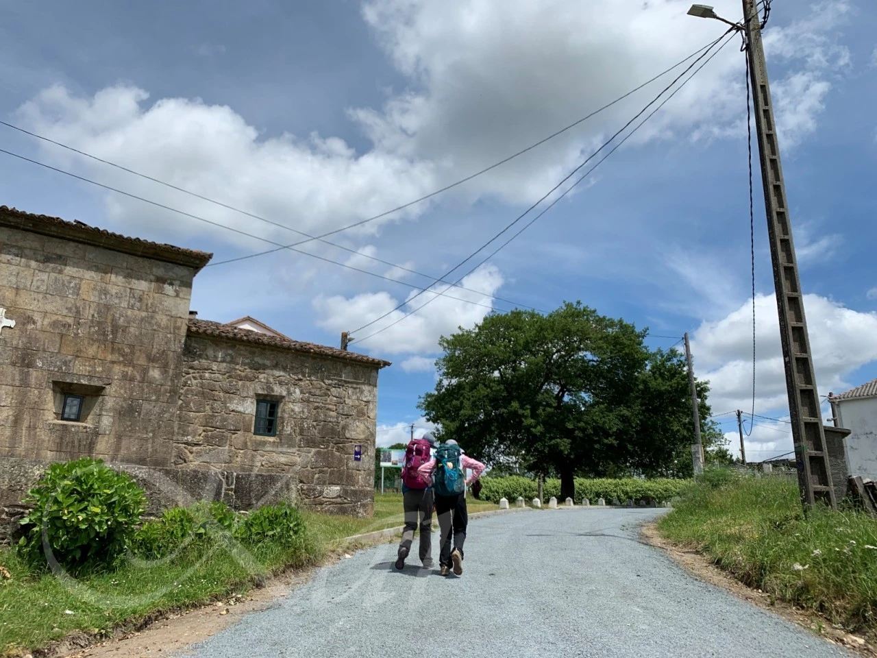 h_26cUd018svc7cy585kr1nps_wocx9r.jpg?type=e1920_std