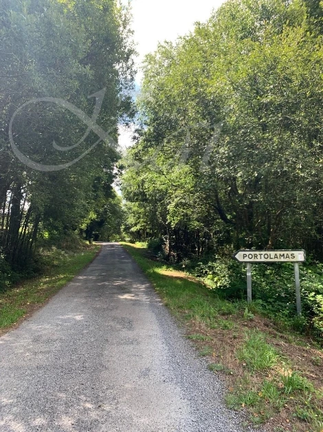 i_d2fUd018svc1wta7clv76min_wocx9r.jpg?type=e1920_std