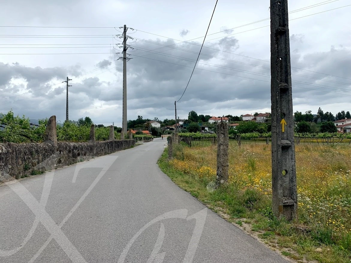 e_ddaUd018svcf5rj0uld13d8_wocx9r.jpg?type=e1920_std