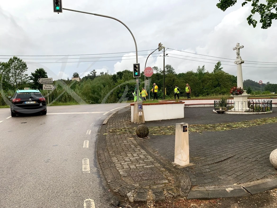 c_0fiUd018svcll8hso8ucygt_wocx9r.jpg?type=e1920_std