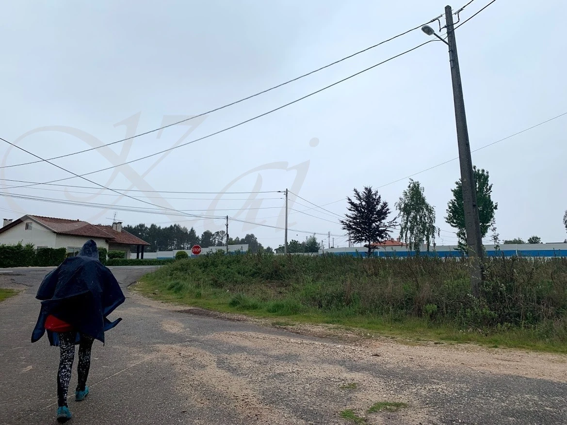 h_135Ud018svc1sh5bvpqu3gj6_wocx9r.jpg?type=e1920_std