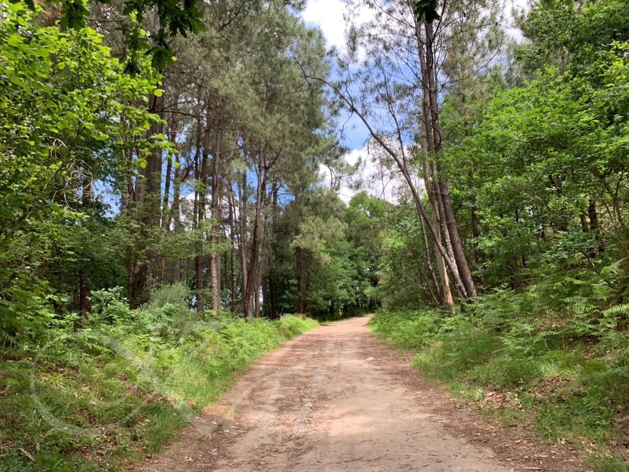 h_i6cUd018svc1lcd38c00lsvc_wocx9r.jpg?type=e1920_std