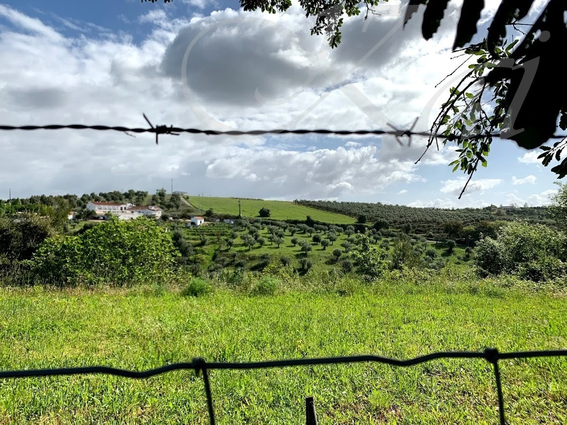 4_g87Ud018svca00h0sdu6ovq_wocx9r.jpg?type=e1920_std