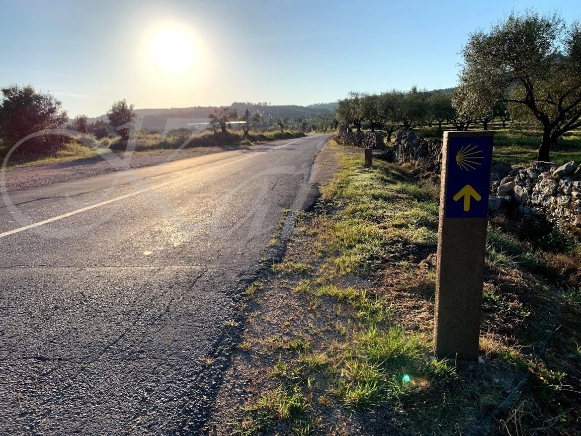 0_34jUd018svc14e638k5ov3np_wocx9r.jpg?type=e1920_std