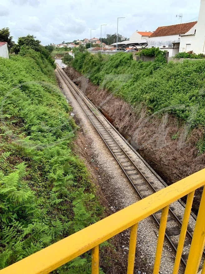 0_6fjUd018svc1ur9s4h9r9oyb_wocx9r.jpg?type=e1920_std