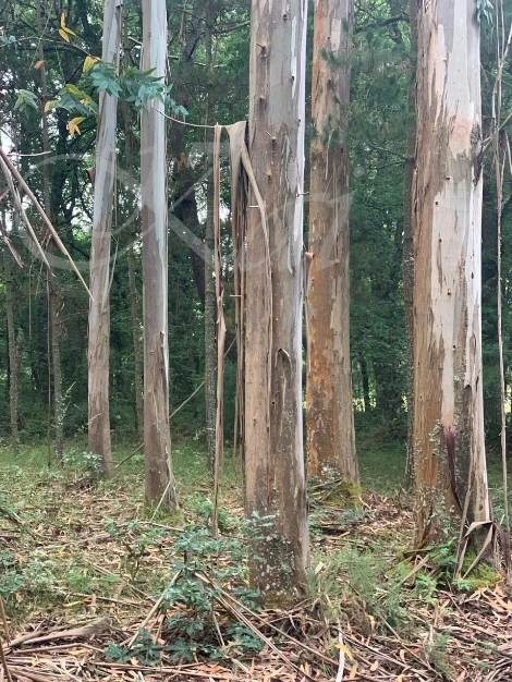 f_i1hUd018svc1hdyd3inxtewp_wocx9r.jpg?type=e1920_std