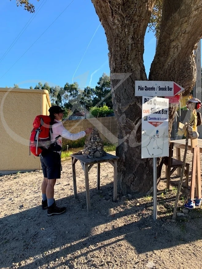 6_h65Ud018svc21jequtvdtro_wocx9r.jpg?type=e1920_std