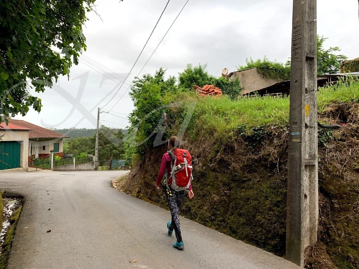 i_c34Ud018svcnv8gaztsitby_wocx9r.jpg?type=e1920_std