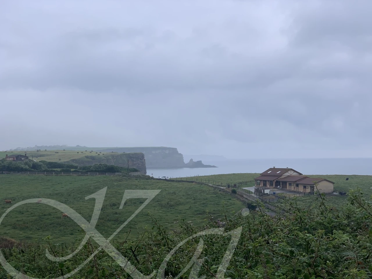 5_226Ud018svcxpeovzvgdt7c_wocx9r.png?type=e1920_std