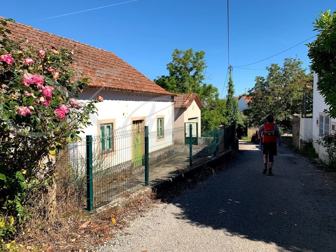 e_gc7Ud018svc1qsyzj63k2acd_wocx9r.jpg?type=e1920_std