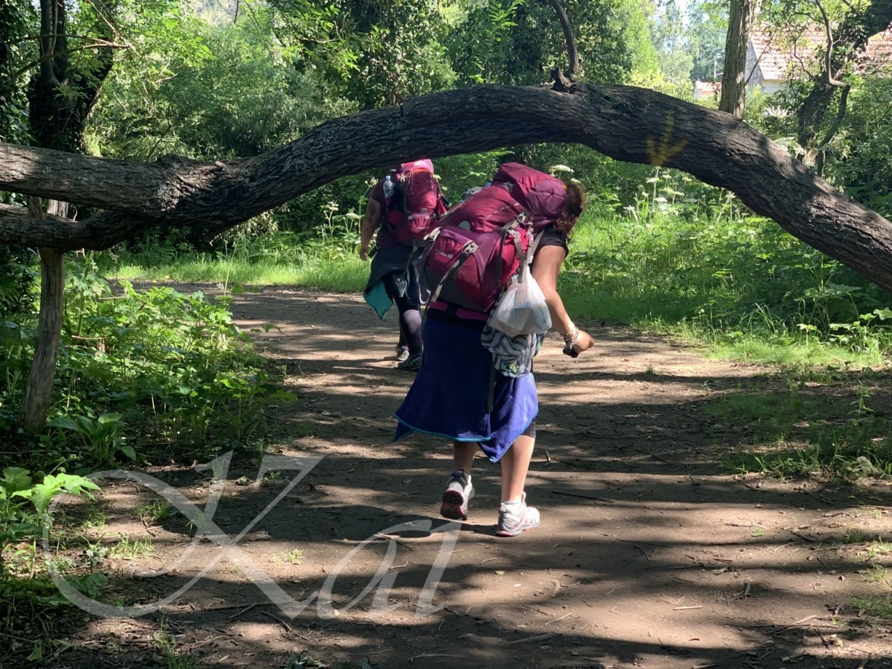 8_4d3Ud018svc1allc8b9929ee_wocx9r.png?type=e1920_std