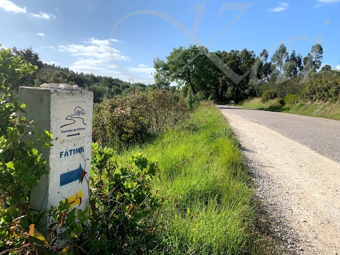 9_887Ud018svcridd1h18doj2_wocx9r.jpg?type=e1920_std