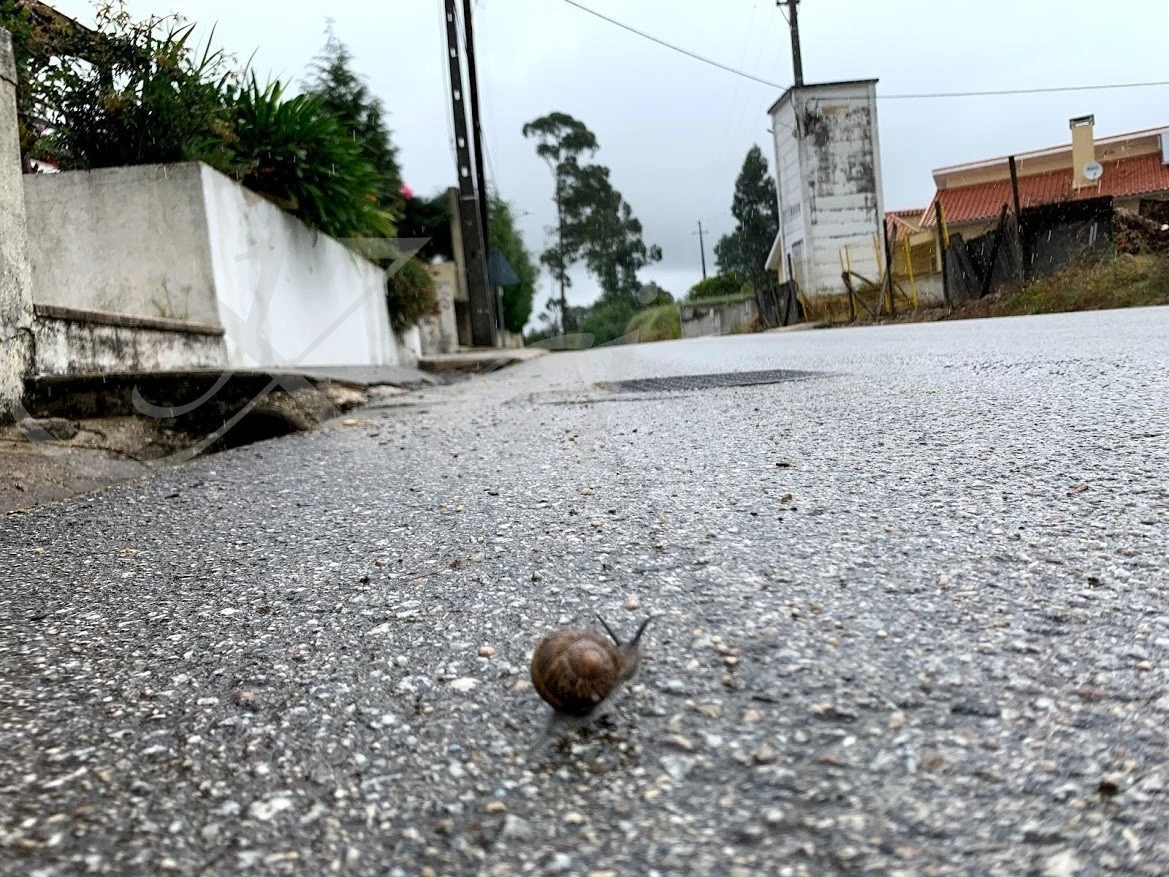 2_e8dUd018svc1x7p5fdv81rlq_wocx9r.jpg?type=e1920_std