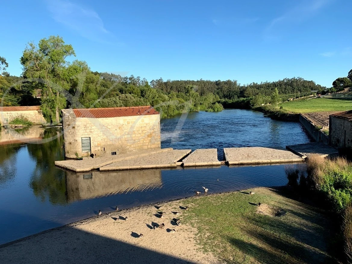 5_j65Ud018svc8mgfq0xx2okl_wocx9r.jpg?type=e1920_std