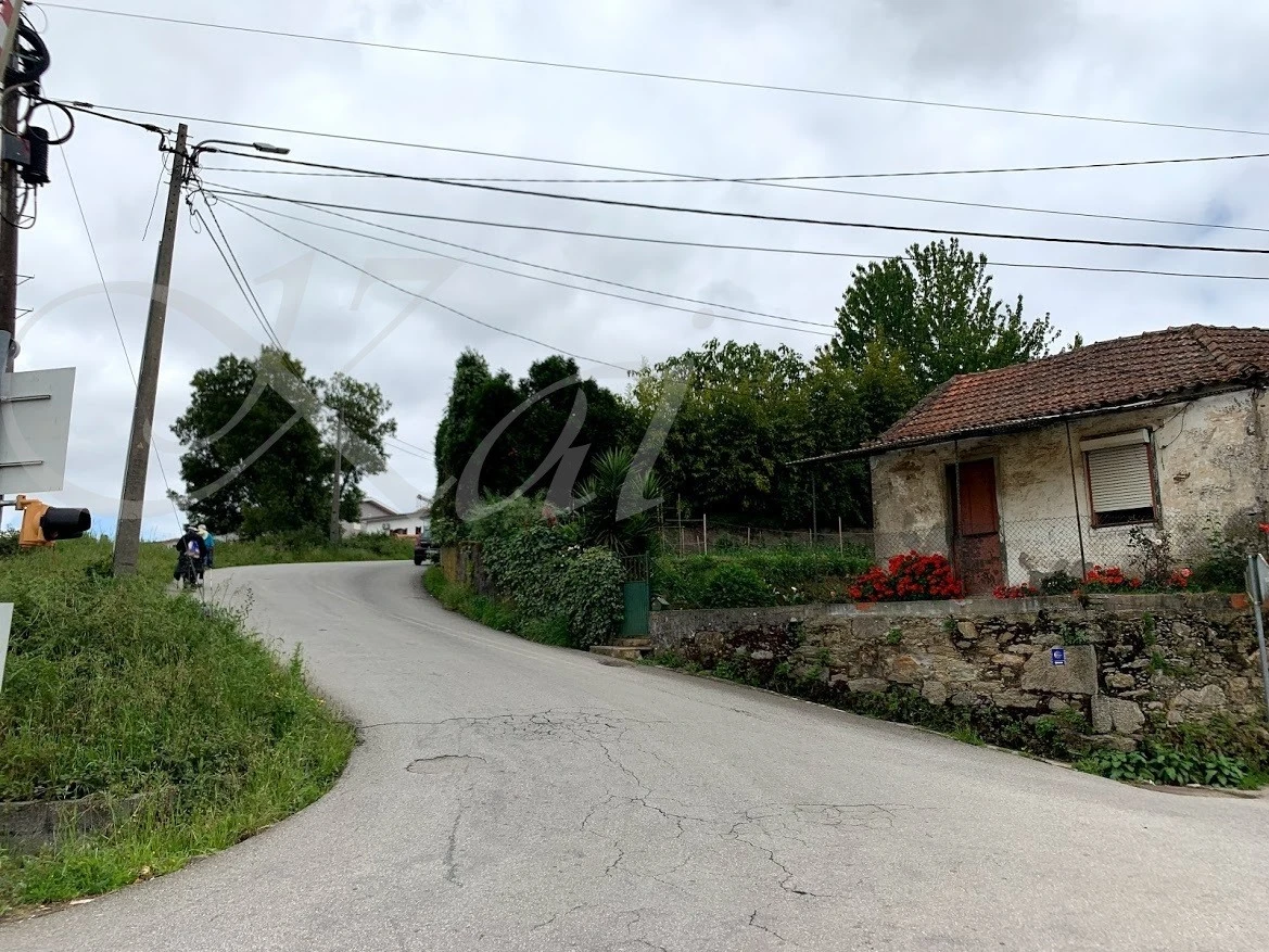 d_5a5Ud018svc1kqsbyx3wqtco_wocx9r.jpg?type=e1920_std