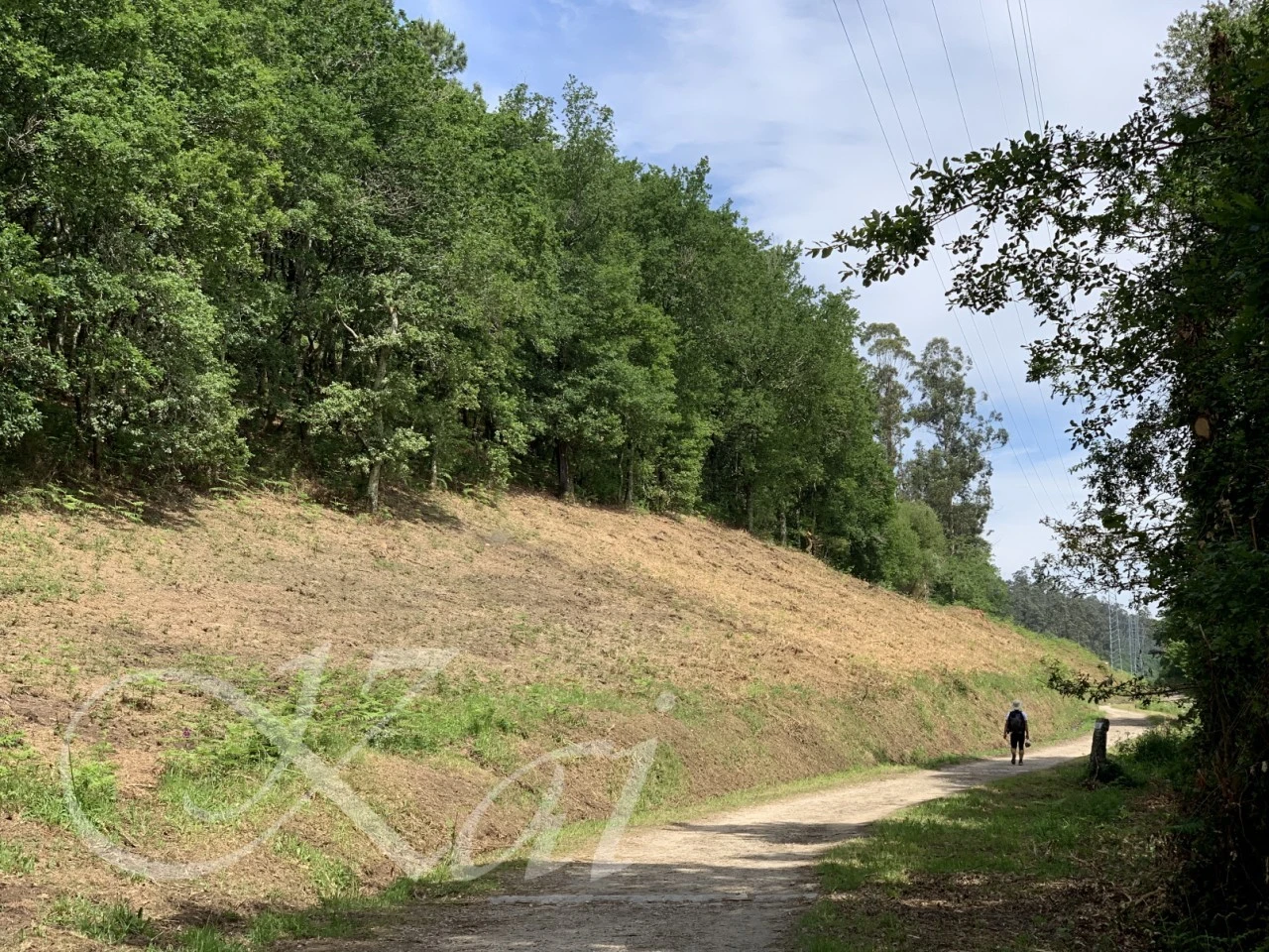 3_7gfUd018svc1nr3csj4bcoda_wocx9r.png?type=e1920_std