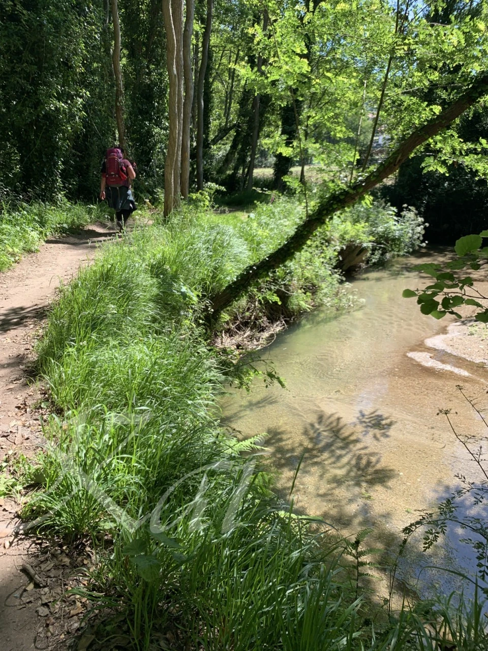 9_jd3Ud018svckj6fkdfeyfj0_wocx9r.png?type=e1920_std