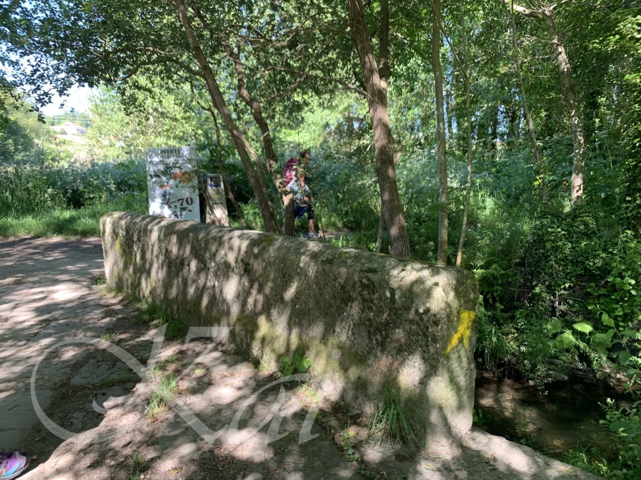 7_8d3Ud018svc14im21v4tsh09_wocx9r.png?type=e1920_std