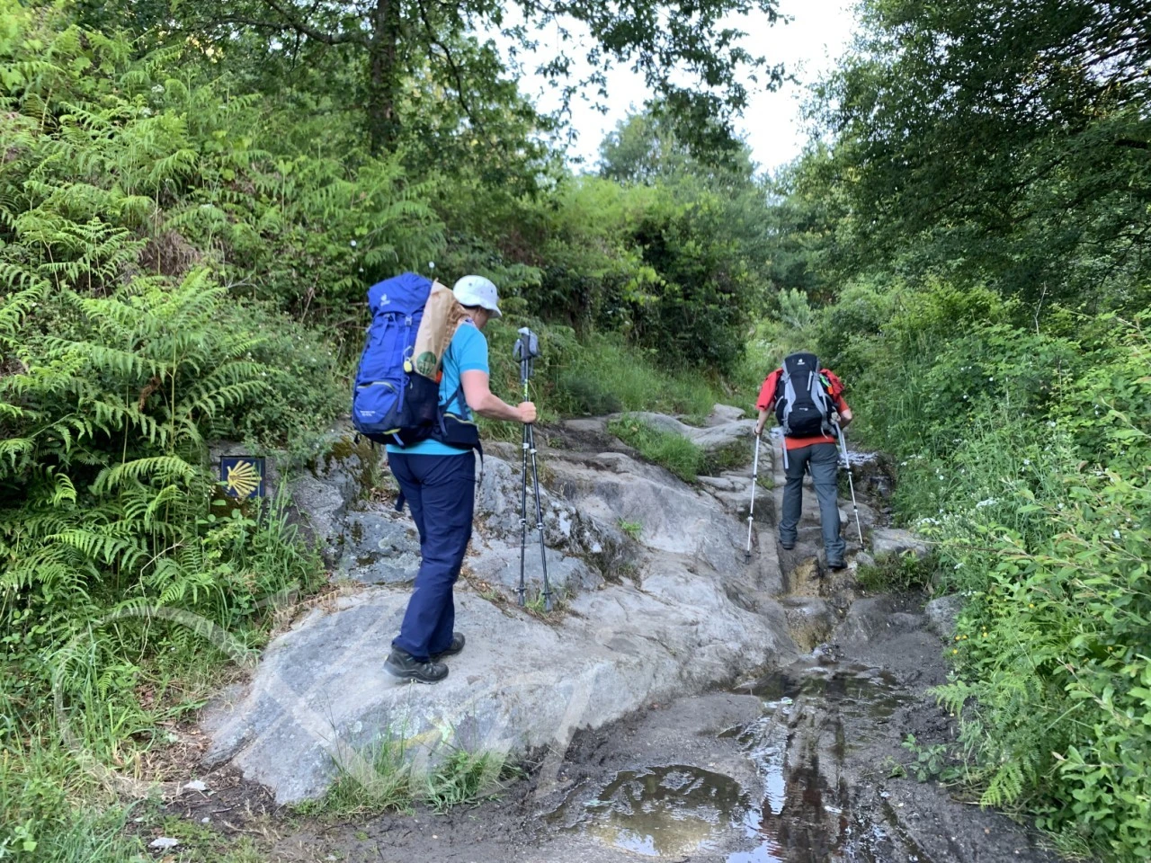 f_jd2Ud018svc1ms76woc42v2j_wocx9r.png?type=e1920_std