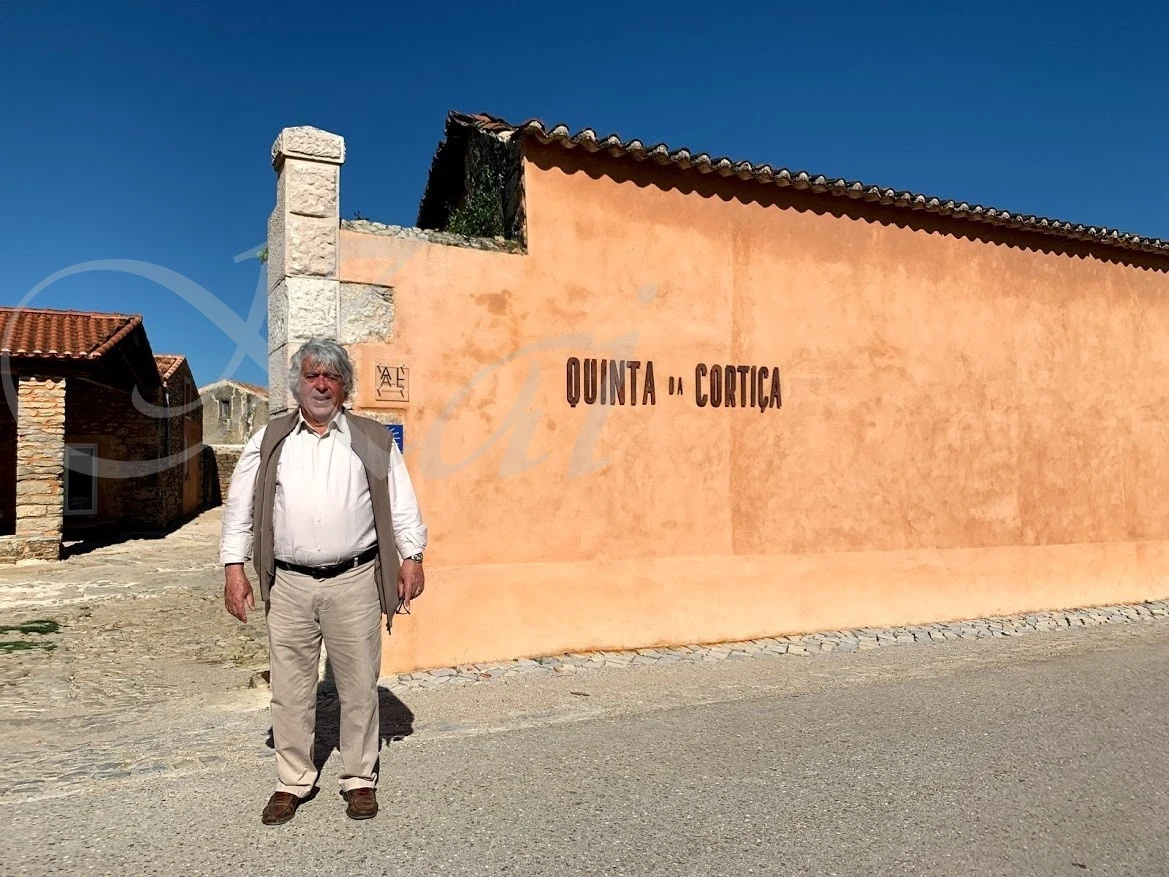 i_0c7Ud018svc4jowcqv0t6go_wocx9r.jpg?type=e1920_std