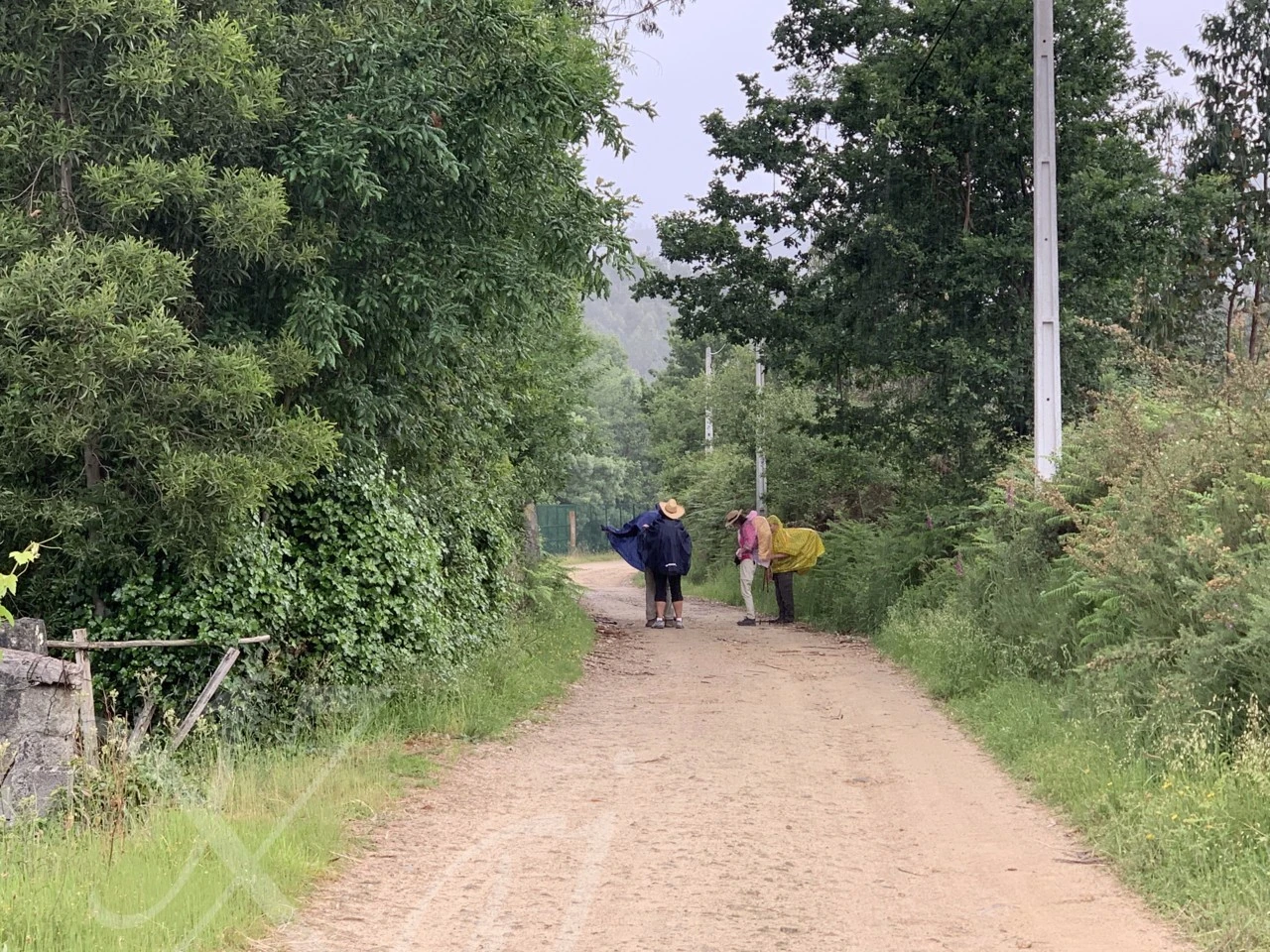 j_256Ud018svc1tzh9g9trcueh_wocx9r.png?type=e1920_std