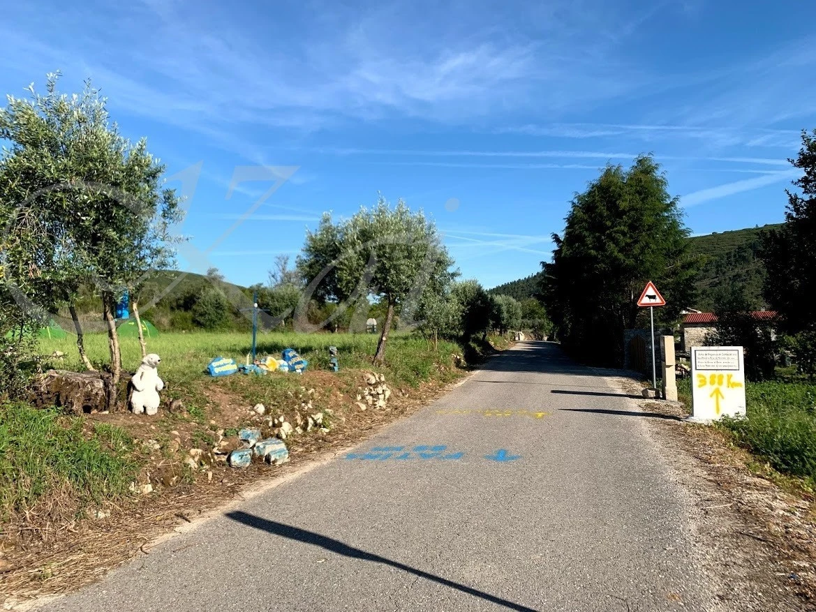 1_74jUd018svc11iokyi6fgl0c_wocx9r.jpg?type=e1920_std